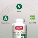 jarrow-formulas-mastic-gum-1000-mg-dieta-5.jpg