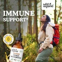wild-organic-chaga-mushroom-tincture-4-f-2.jpg