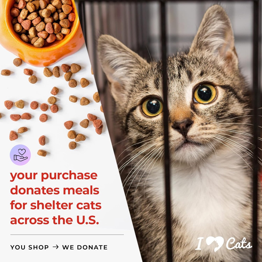 iheartcats-l-lysine-for-cats---immune-re-2.jpg