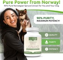 lignans-for-life-hmr-lignans-for-dogs-40-2.jpg