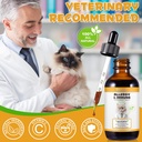 allergy-relief-drops-for-cats-cat-allerg-6.jpg