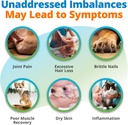 5strands-pet-nutritional-imbalance-test--5.jpg