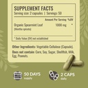 herbamama-spearmint-and-vitex-kit---bund-4.jpg
