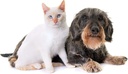 cat-urinary-health-supplement---pets-uri-3.jpg