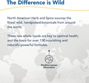 north-american-herb-spice-oregaresp---30-5.jpg