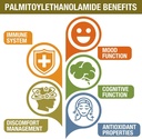 palmitoylethanolamide-with-luteolin-turm-4.jpg