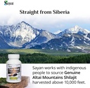 sayan-siberian-chaga-mushroom-extract-wi-6.jpg