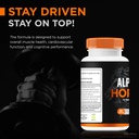 2-pack-alpha-horse-capsules-alpha-horse--5.jpg