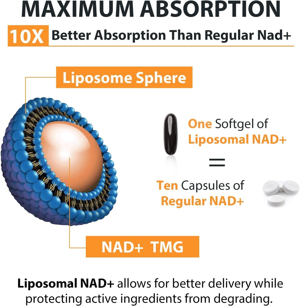 orgabay-liposomal-nad-supplement-500-mg--5.jpg