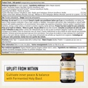 holy-basil-supplements---fermented-holy--2.jpg