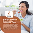 zahler-aftermeals-natural-antacid-chews--3.jpg