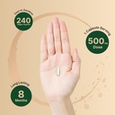 naturebell-magnesium-glycinate-500mg-240-4.jpg
