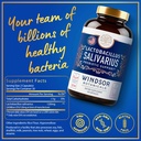 windsor-botanicals-lactobacillus-salivar-3.jpg