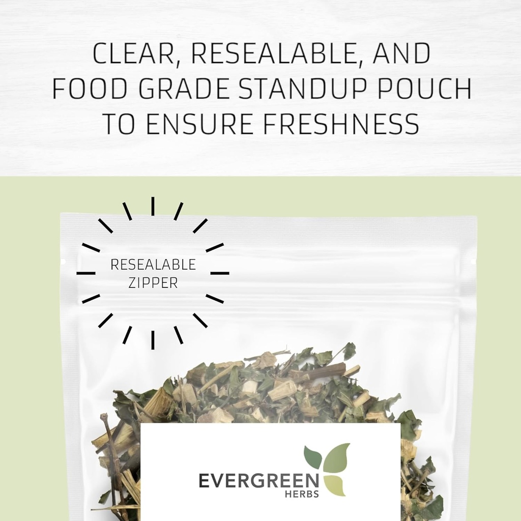 evergreen-herbs-eucalipto-eucalyptus-lea-2.jpg