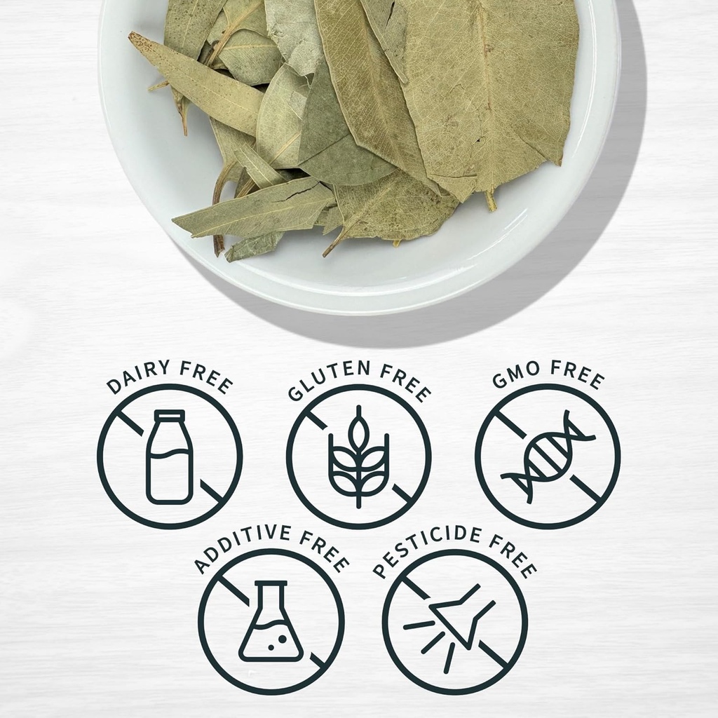 evergreen-herbs-eucalipto-eucalyptus-lea-3.jpg