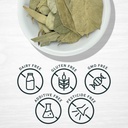 evergreen-herbs-eucalipto-eucalyptus-lea-3.jpg