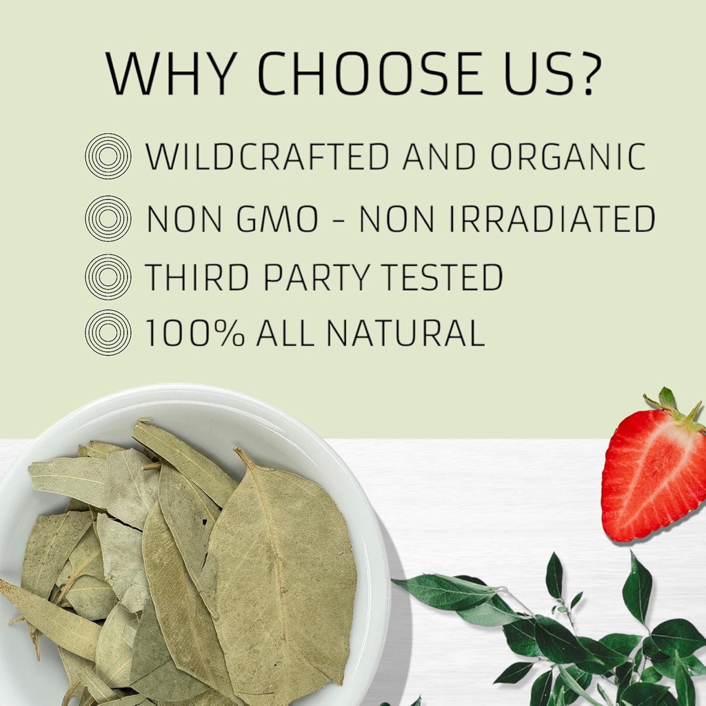 evergreen-herbs-eucalipto-eucalyptus-lea-5.jpg