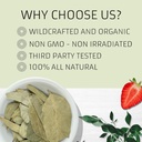 evergreen-herbs-eucalipto-eucalyptus-lea-5.jpg