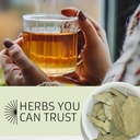 evergreen-herbs-eucalipto-eucalyptus-lea-6.jpg