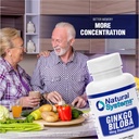 ginkgo-biloba-60-mg-by-natural-systems-6-3.jpg