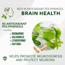 bricker-labs-mind-motion-joint-health-an-5.jpg