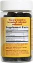 fungiments-super-chill---mushroom-supple-2.jpg