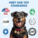 chews-for-dogs-omega-3-fish-oil---dog-co-6.jpg