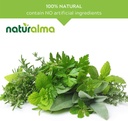 naturalma-dandelion-taraxacum-officinale-4.jpg