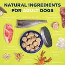 Vetericyn All-in 1 Multifunctional Dog Supplement | Digestive Enzymes + Glucosamine and Chondroitin for Bone and Joint Support + Vitamins, Antioxidants, Prebiotics, Probiotics, and Omegas. 90 Count 4