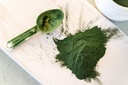 Food to Live Organic Chlorella Powder, 4 Pounds — Non-GMO, Kosher, Raw Green Algae, Vegan Superfood, Bulk, Pure Vegan Green Protein, Rich in Vitamins and Minerals, Great for Drinks, Broken Cell Wall 6