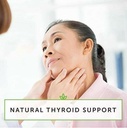 A2Z Organic Lugol's Iodine and Potassium Iodide 2% Solution 3000 mcg - Liquid Supplement Drops for Thyroid Support for Women & Men, Metabolism Health, Detox Boost -2 Fl Oz/Made in USA/Same Day Ship 3