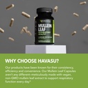 Mullein Leaf Capsules for Respiratory Health - 5000mg Extract 10:1 for Lung Support and Immune Function - 180 Count - Vegan, Non-GMO Capsules - Herbal Supplement for Daily Wellness - 6 Month Supply 6