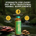 Herbal Immune Support & Adaptogen Drink - 12 Vials (40ml) | 30 Years of Herbal Wellness for Vitality, Energy & Digestive Health - Licorice Root, Astragalus, Hedyotis, Reishi Mushroom Extract 3