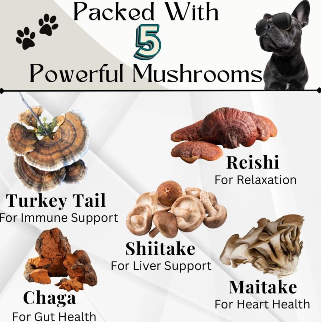 Dogs Immune Support Mushroom Supplement - Supports Longevity, Cognition, Joint, Cellular & Gut Health - All Natural Organic, GrainFree - Aid for Lumps and Bumps, Chicken Flavor - 90 Chews 3
