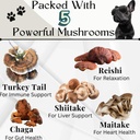 Dogs Immune Support Mushroom Supplement - Supports Longevity, Cognition, Joint, Cellular & Gut Health - All Natural Organic, GrainFree - Aid for Lumps and Bumps, Chicken Flavor - 90 Chews 3