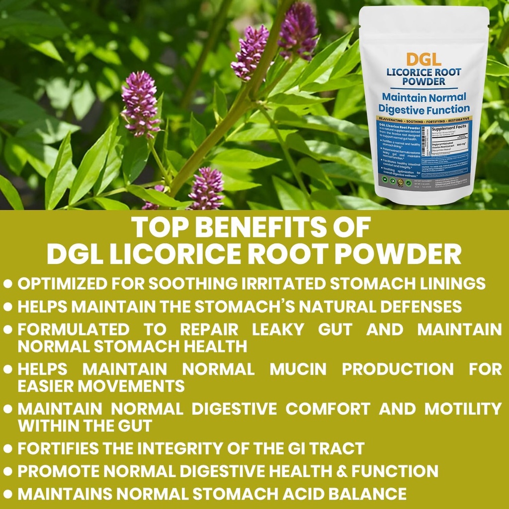 DGL Licorice Supplement: Supports Digestive Health, Gut Lining Support, DGL Powder for Wellness, Licorice Root Extract Powder, 140 Servings (2-Pack) 5