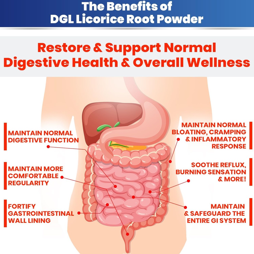 DGL Licorice Supplement: Supports Digestive Health, Gut Lining Support, DGL Powder for Wellness, Licorice Root Extract Powder, 140 Servings (2-Pack) 6