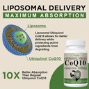 Liposomal CoQ10 800mg Ubiquinol Softgel, Max Absorption Ubiquinol Coenzyme Q10, Ubiquinol CoQ10 Supplement for Antioxidant, Heart Function & Energy Production, Pure CoQ10 800mg, 360 Vegan Softgels 5