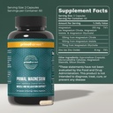 Primal Harvest Total Male+ & Magnesium Supplement Optimize Men’s Health with Targeted Nutrients for Vitality & Recovery 2 Pack Bundle 4
