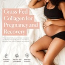 Prenatal Collagen Peptides - Grass-Fed Collagen Protein, with Glycine & Amino Acids for Pregnancy & Postpartum - Help Digestion, Immune Health, Pelvic Floor, & Postpartum Recovery (16 oz.) 4