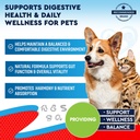 Natural Intestinal Defense for Dogs & Cats – Herbal Cleanse with Wormwood, Black Walnut – Promotes Healthy Gut & Flora Balance – Advanced Broad Spectrum Formula 3