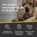 Absorbine Silver Honey Hot Spot & Wound Care Spray Gel 8oz Bottle, Manuka Honey & MicroSilver BG, Medicated for Dogs, Cats, Small Animals 5