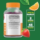 Lifeable Garlic 1000mg + Magnesium, Gummies Bundle - Great Tasting, Vitamin Supplement, Gluten Free, GMO Free, Chewable Gummy 3