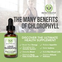 Benevolent Chlorophyll Liquid Drops & Women's Multivitamin - 100% Natural + 4X Potency Concentration for Healthy Skin & Internal Deodorant - Daily Vitamins for Women with Biotin, Calcium, Magnesium 3