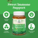 Bundle of Delicious Iron Gummies for Women and Men - Iron Supplement for Women and Men with Vitamin C for Higher Absorption and Chewable Vitamin C Gummies for Adults - Halal Vitamin C Immune Support 6
