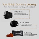 Be Bodywise Pure Himalayan Shilajit Gummies Gold I No Added Sugar I Ashwagandha, Gokshura| Fulvic Acid & 85+ Trace Minerals I for Men, Women I Non-GMO I 100% Natural & Organic I 120 Gummy I Pouch 4