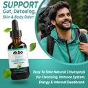Colon Cleanser Detox & Chlorophyl Liquid Drops - 15 Day Colon Cleanse Pills with Ginger, Liquid Chlorophyll Drops Body Odor Internal Deodorant - Poop Bowel Movement Supplements Intestinal Gut Support 6