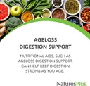Natures Plus AgeLoss Digestion Support - 90 Capsules - Prebiotics, Live Enzymes & 150 mg L-Glutamine - Gluten Free - 30 Servings 3