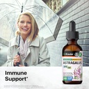 BIO KRAUTER Astragalus Tincture - Astragalus Root Liquid Extract for Immune Support - Alcohol and Sugar Free - High Absorption - Vegan Drops 2 Fl.Oz. 3