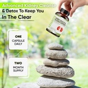 NutraPro Kidney Cleanse Detox & Repair and Bladder Support- Kidney Support Supplement for Kidney Restore with Chanca Piedra 6